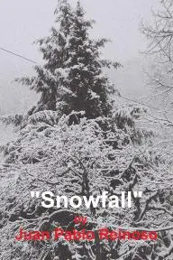 Snowfall_peliplat