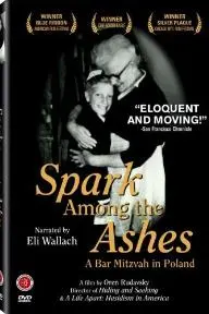 Spark Among the Ashes: A Bar Mitzvah in Poland_peliplat
