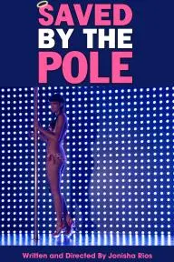 Saved by the Pole_peliplat