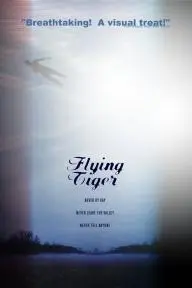 Flying Tiger_peliplat
