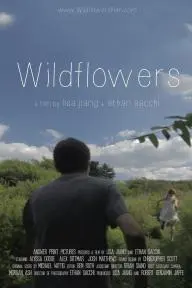 Wildflowers_peliplat
