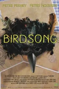 Birdsong_peliplat