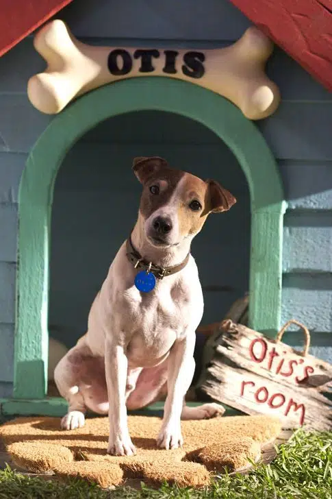 Otis