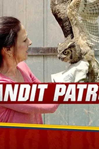 Bandit Patrol_peliplat