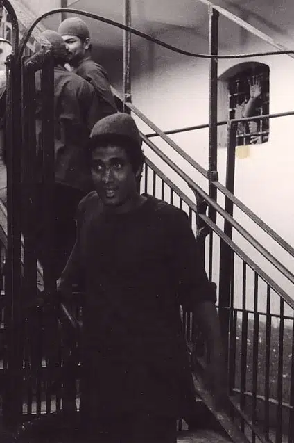 Ahmed Zaki