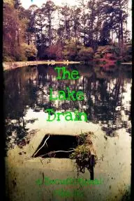 The Lake Drain_peliplat