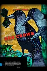 Odd Crows_peliplat