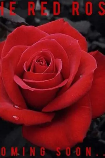 The Red Rose_peliplat
