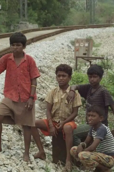 J. Vignesh