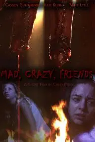 Mad, Crazy, Friends_peliplat