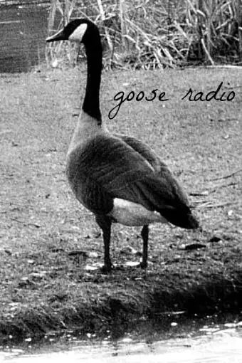 Goose Radio_peliplat