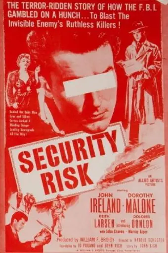 Security Risk_peliplat