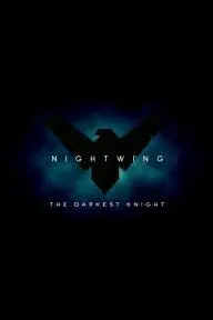 Nightwing: The Darkest Knight_peliplat