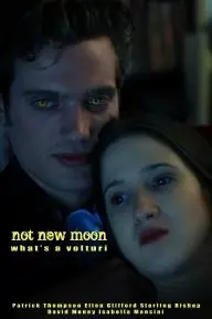 Not New Moon. What's a Volturi?_peliplat