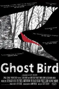 Ghost Bird_peliplat