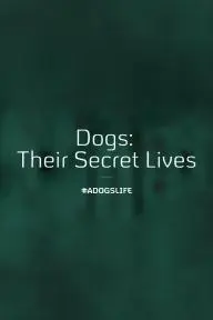 Dogs: Their Secret Lives_peliplat