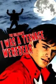 I Was a Teenage Werebear_peliplat