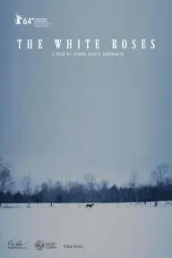 The White Roses_peliplat