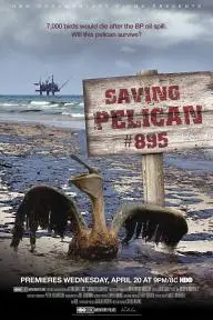 Saving Pelican 895_peliplat