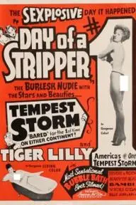 Day of a Stripper_peliplat
