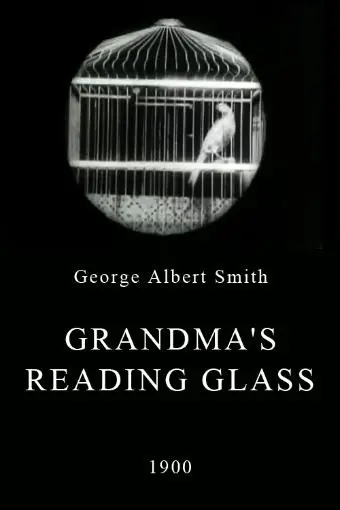 Grandma's Reading Glass_peliplat