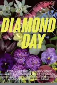 Diamond Day_peliplat
