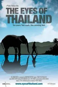 The Eyes of Thailand_peliplat