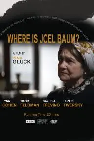 Where Is Joel Baum?_peliplat