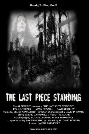 The Last Piece Standing_peliplat