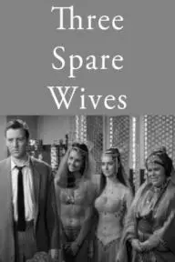 Three Spare Wives_peliplat