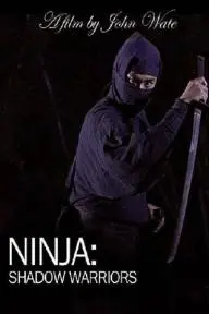 Ninja Shadow Warriors_peliplat