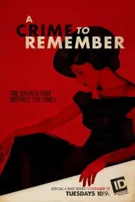 A Crime to Remember_peliplat