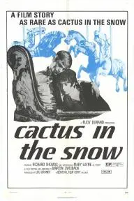 Cactus in the Snow_peliplat