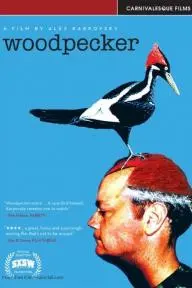 Woodpecker_peliplat