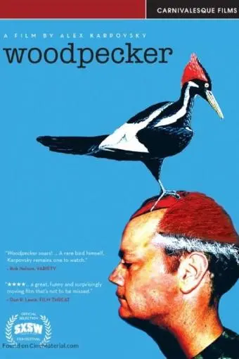 Woodpecker_peliplat