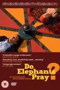 Do Elephants Pray?_peliplat