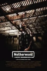 Netherwood_peliplat