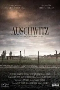 Auschwitz_peliplat