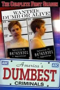 America's Dumbest Criminals_peliplat