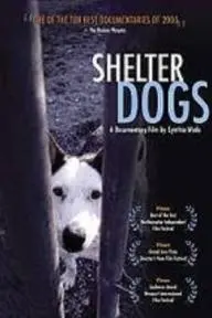 Shelter Dogs_peliplat