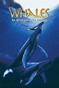 Whales: An Unforgettable Journey_peliplat