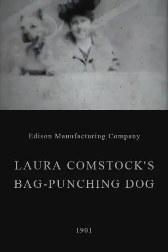Laura Comstock's Bag-Punching Dog_peliplat