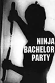 Ninja Bachelor Party_peliplat