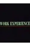 Work Experience_peliplat