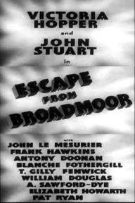 Escape from Broadmoor_peliplat