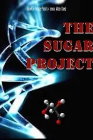 The Sugar Project_peliplat