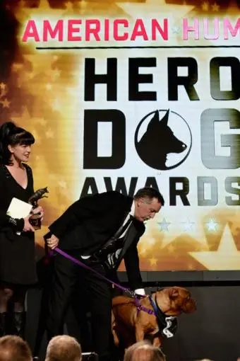 2016 Hero Dog Awards_peliplat