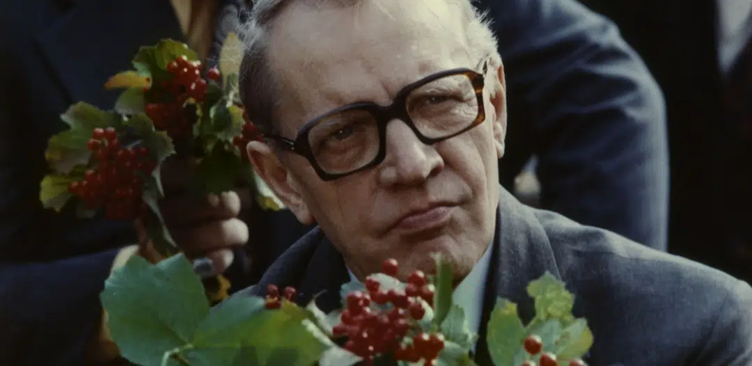 Andrzej Krasicki