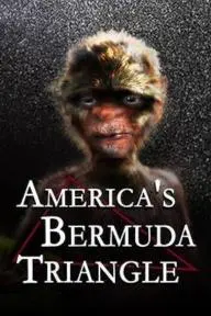 America's Bermuda Triangle_peliplat