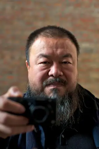 Ai Weiwei_peliplat
